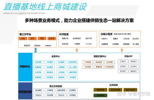 农产品电商直播基地项目商业计划书农产品电商直播基地方案怎么写