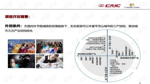 中房信 10年欢乐年华生态旅游度假区项目发展战略.ppt